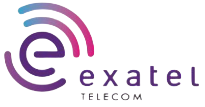 PT. ELEMEN JARINGAN NUSANTARA 